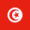 Tunisia Flag Icon Image