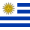 Uruguay Flag Icon Image